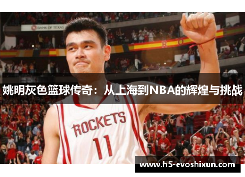 姚明灰色篮球传奇：从上海到NBA的辉煌与挑战